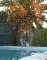 "    -    ",  : galina, : Wed Jun 18 13:51:04 2008