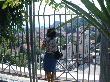 "   ",  : galina, : Mon Jun 23 10:17:06 2008