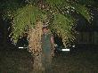 "    ",  : krasimir, : Mon Sep  8 12:33:58 2008